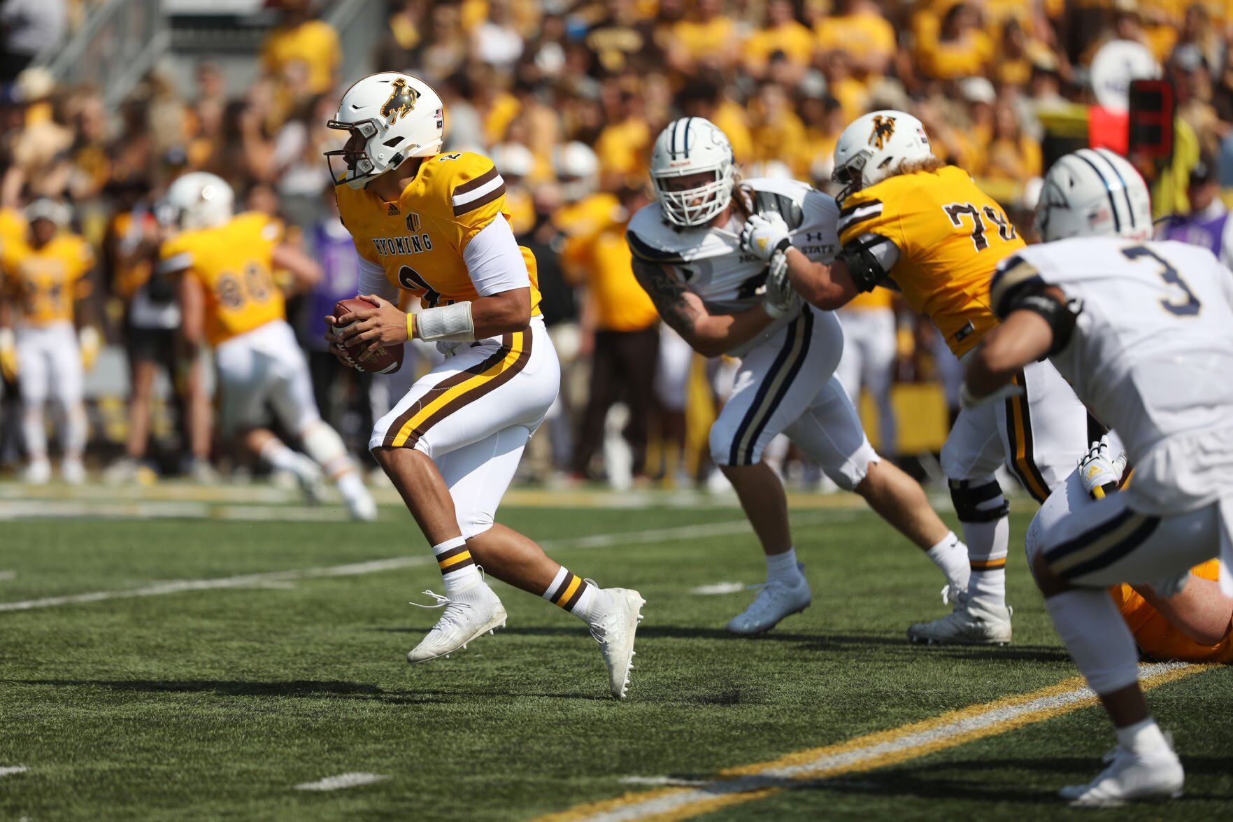 Wyoming v. MSU